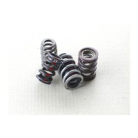 Valve Springs 