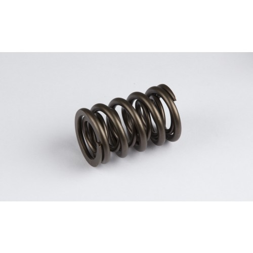 Chrysler Hemi 6cyl Dual Springs