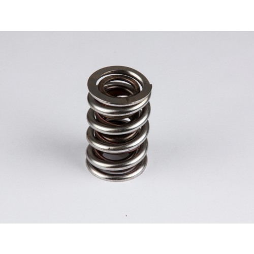 V8 Roller Dual Spring with Damper 1.550