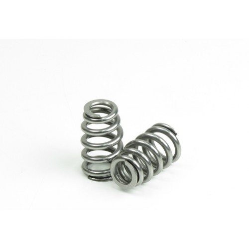 Holden Chev LS Beehive Endurance .625 Spring Set