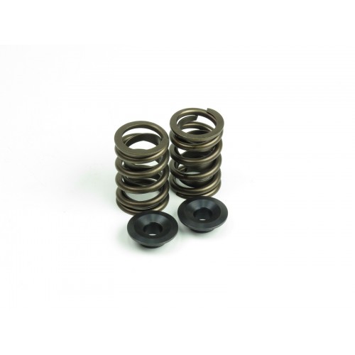 Ford 6cyl Late EL-AU Spring Retainer Kit