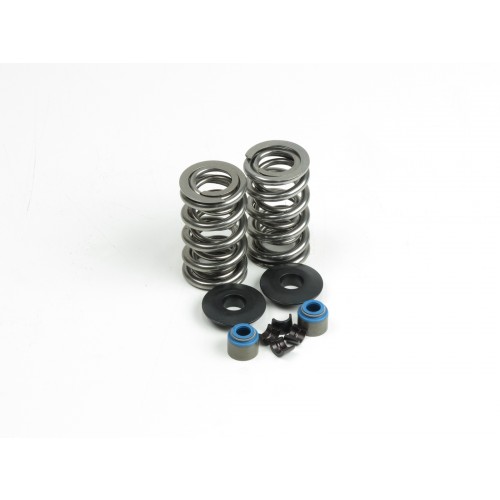 Holden V6 Ecotec Dual Spring Kit