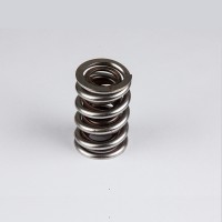 Valve Spring Kits 